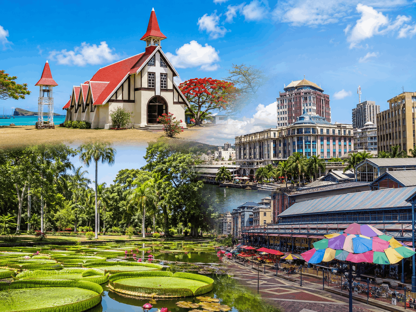 The Exotic North & Port Louis