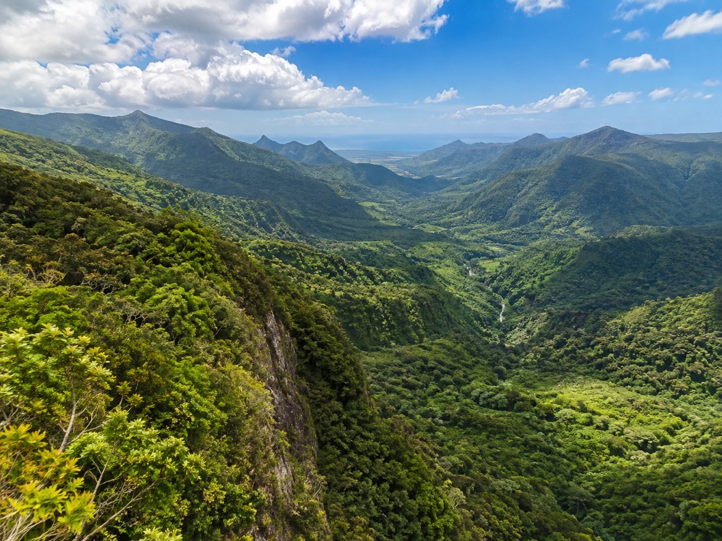 Black River Gorges
