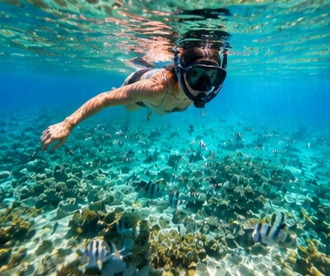 Blue Bay Mauritius